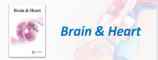 Brain & Heart_Cardiology